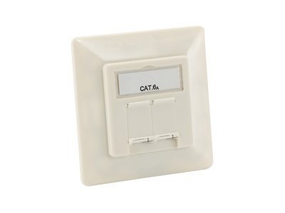 Equip Aufputz Frontplatte Cat6A 2x RJ45 RAL 9010 Reinweiss
