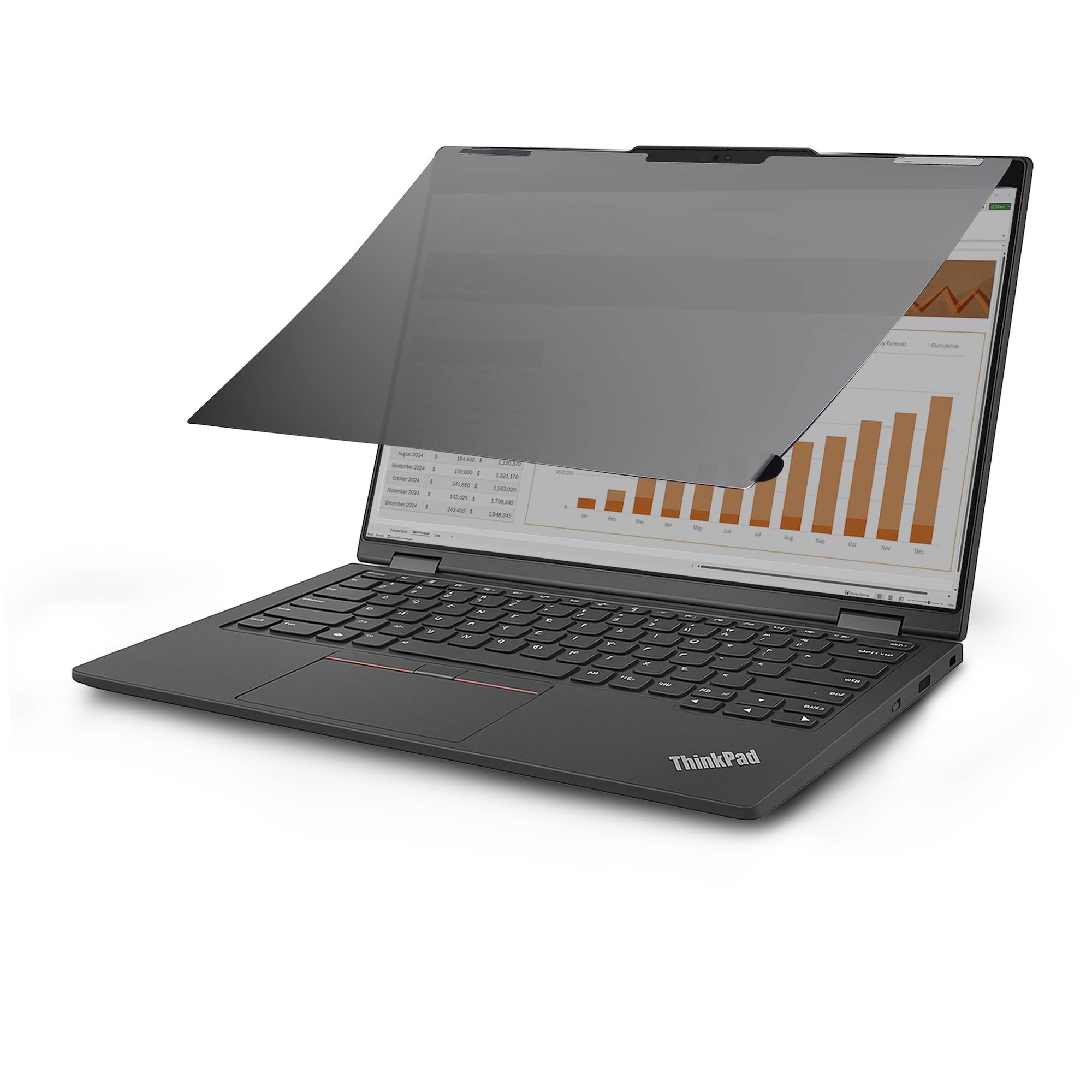 StarTech.com Blickschutzfilter Notebook horizontal