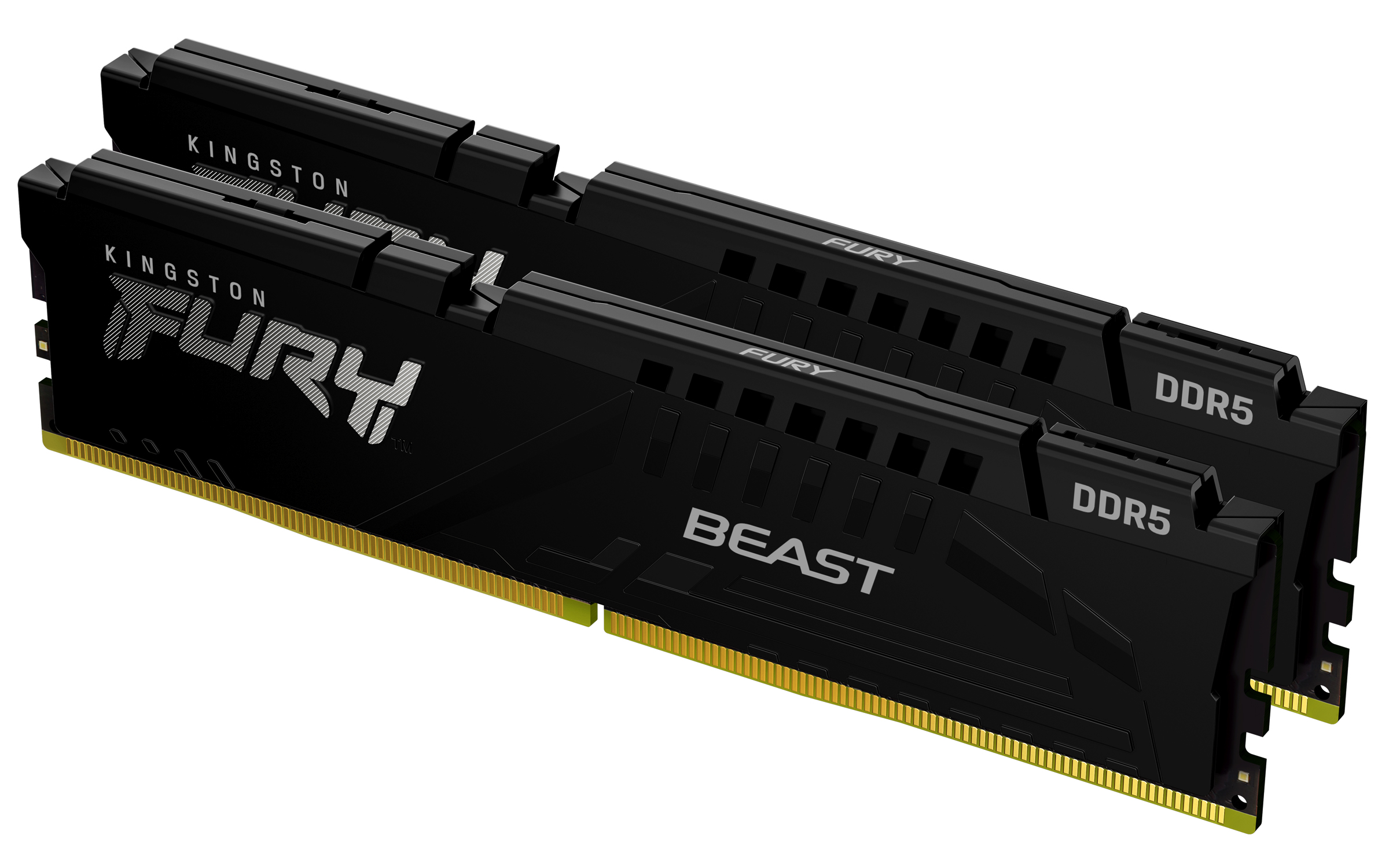 Kingston FURY Beast DDR5-5600 32 GB