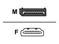 helos Adapterkabel, DisplayPort Stecker/ HDMI Buchse, PREMIUM 4K, silber helos Adapterkabel, DisplayPort Stecker/ HDMI Buchse, PREMIUM 4K, silber