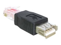 Delock Adapter USB Buchse > RJ45 Stecker Delock Adapter USB Buchse > RJ45 Stecker