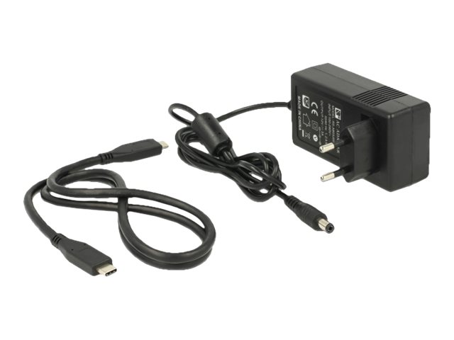 Delock USB Type-C 3.1 Dockingstation fuer 2 x SATA HDD / SSD mit Klon Funktion