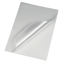 25 hama Laminierfolien glaenzend fuer A3 125 micron 25 hama Laminierfolien glaenzend fuer A3 125 micron