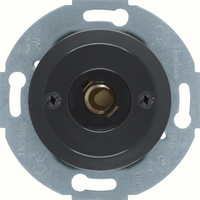Berker Drucktaster und Lichtsignal 510401 E10 Palazzo schwarz Berker Drucktaster und Lichtsignal 510401 E10 Palazzo schwarz