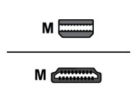 helos Anschlusskabel, mini DisplayPort St./HDMI St., PREMIUM 4K, 1,0m, schwarz helos Anschlusskabel, mini DisplayPort St./HDMI St., PREMIUM 4K, 1,0m, schwarz