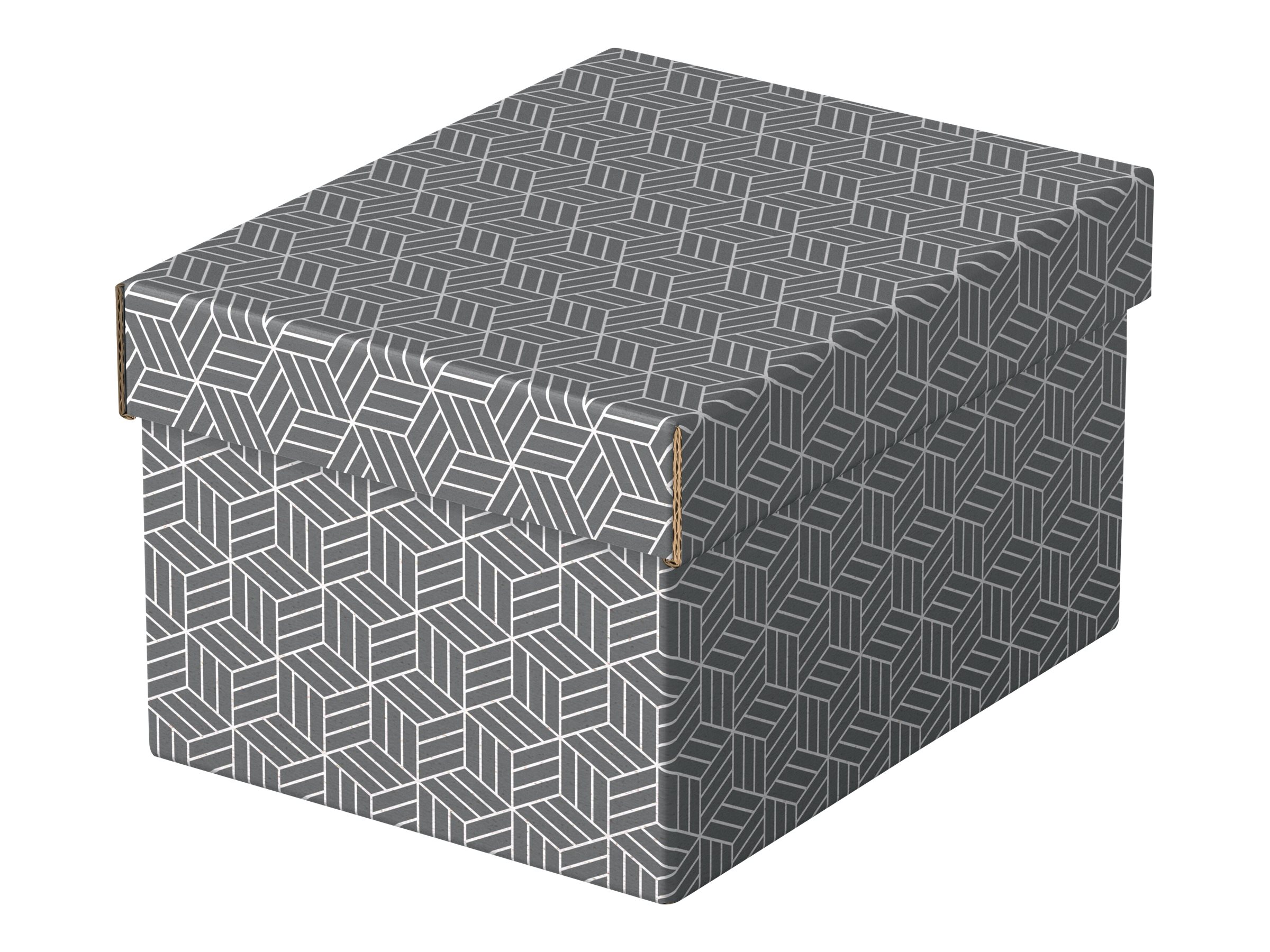 3 Esselte Home Aufbewahrungsboxen 6,5 l grau 20,0 x 25,5 x 15,0 cm 3 Esselte Home Aufbewahrungsboxen 6,5 l grau 20,0 x 25,5 x 15,0 cm