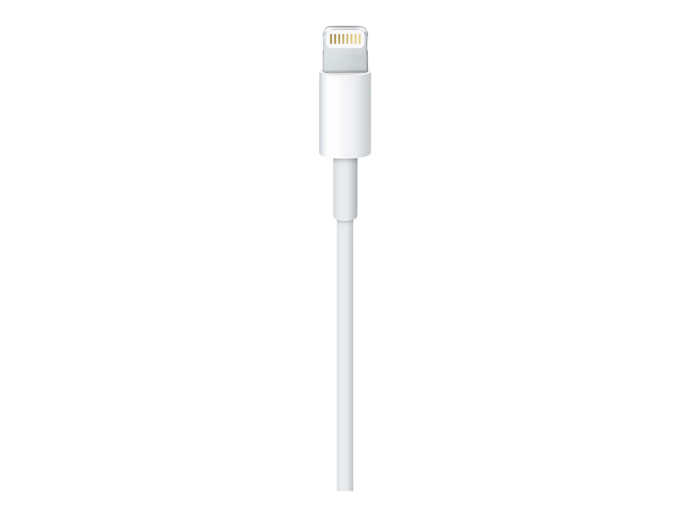 Apple Lightning to USB Ladekabel 1m BULK / LOSE MQUE2 Apple Lightning to USB Ladekabel 1m BULK / LOSE MQUE2