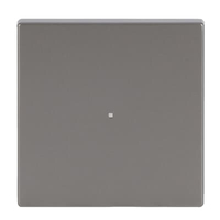 Busch-Jaeger Wippe 6230-10-866 1fach Edelstahl Busch-Jaeger Wippe 6230-10-866 1fach Edelstahl
