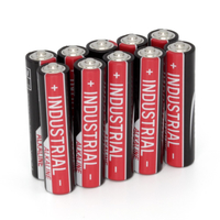 10 ANSMANN Batterien INDUSTRIAL Micro AAA 1,5 V