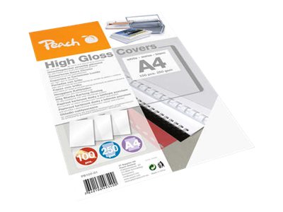 PB100-01 PEACH BINDERUECKSEITE (100) A4 PB100-01 PEACH BINDERUECKSEITE (100) A4