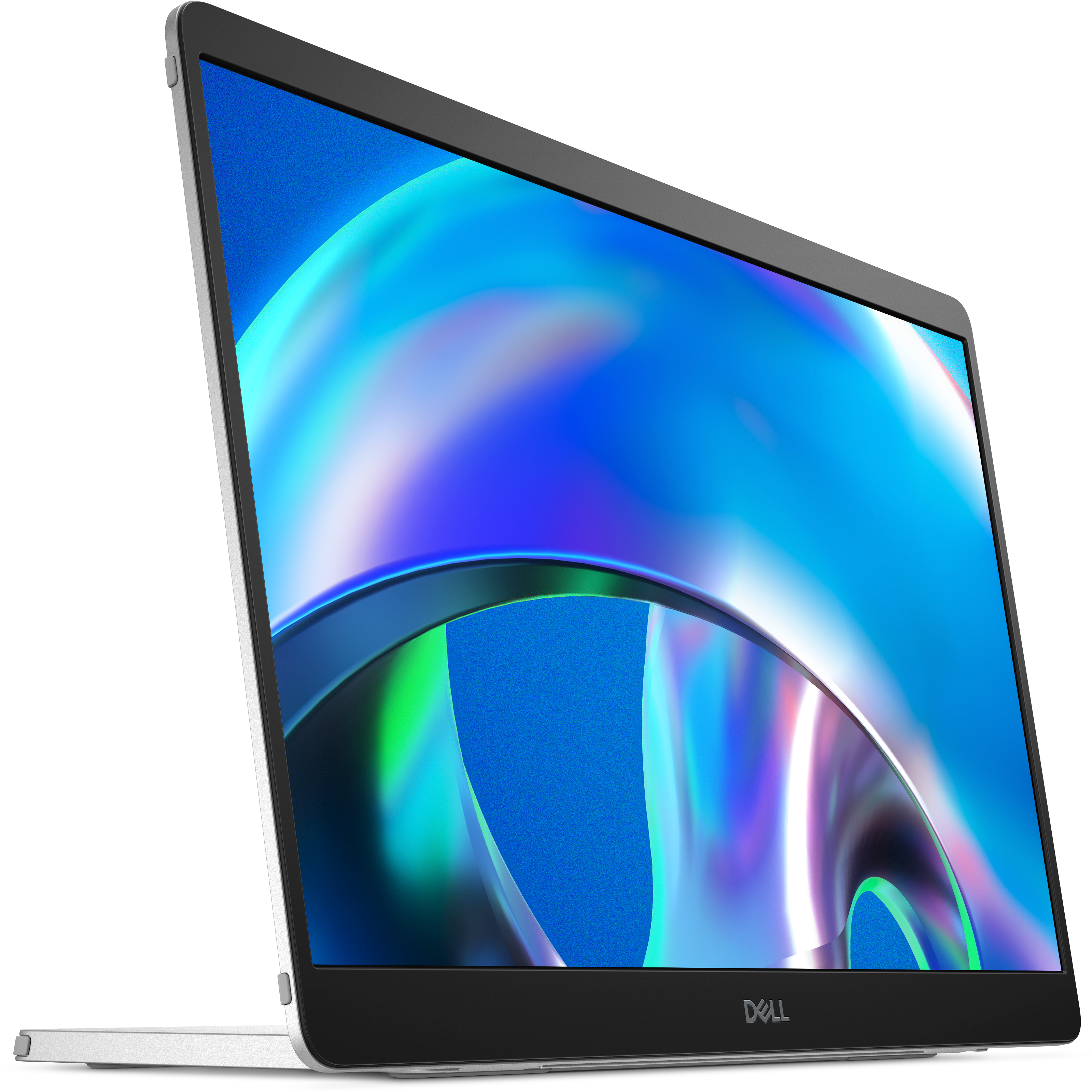 Dell Pro Plus P1425 14 Zoll