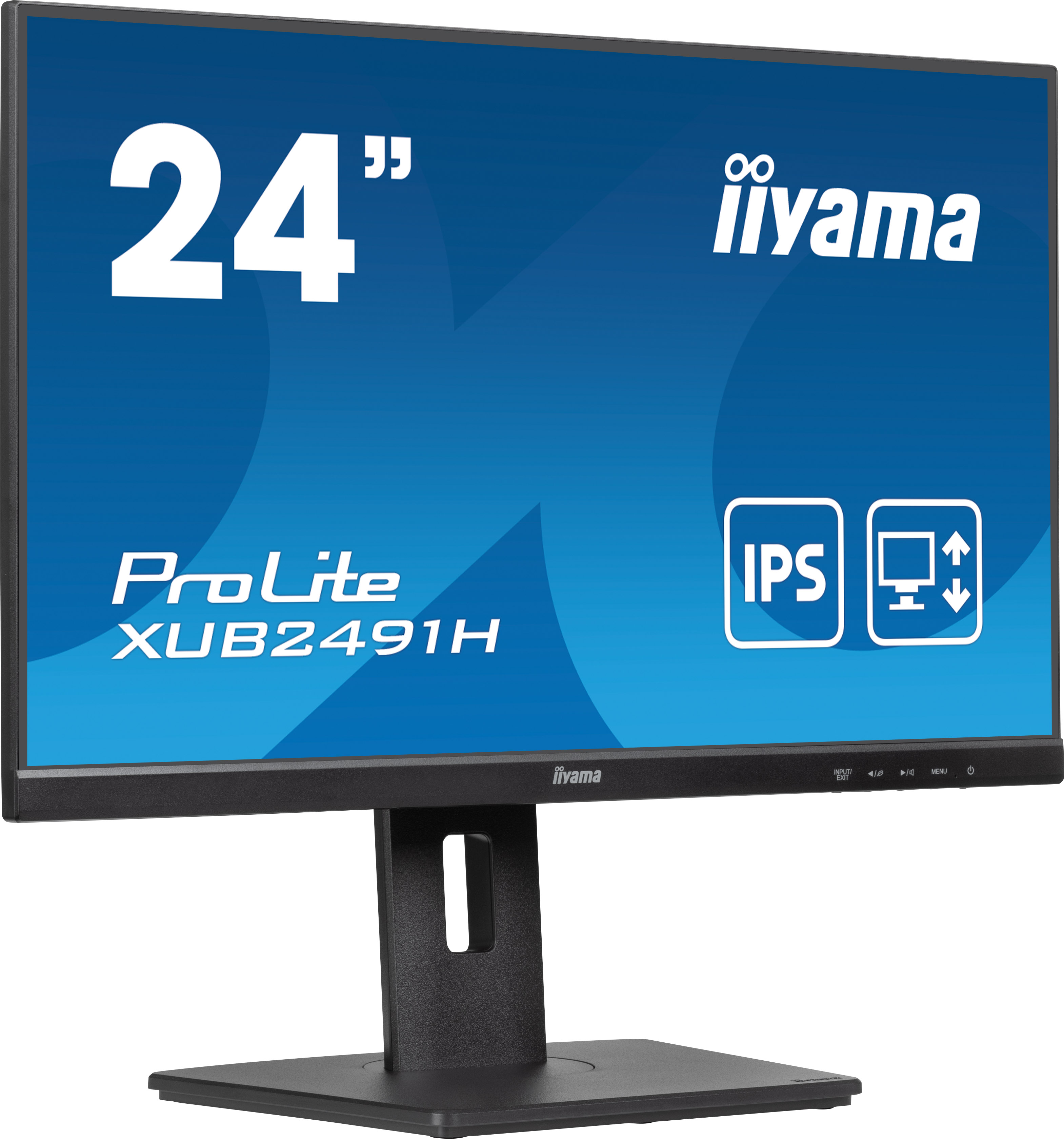 238605cm iiyama ProLite XUB2491H schwarz 169