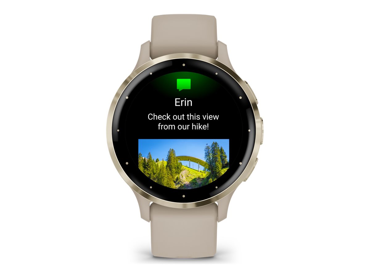 GARMIN Venu 3S Smartwatch french grey, softgold
