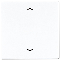 Jung Wippe LS990PWW für Taster BA 1fach Jung Wippe LS990PWW für Taster BA 1fach