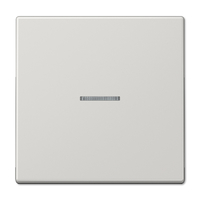 Jung Wippe LS990KO5LG für Kontrollschalter Jung Wippe LS990KO5LG für Kontrollschalter