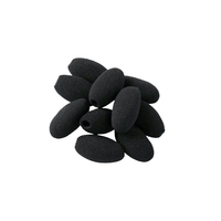 Jabra Windschutz Schaumstoff f?r Biz2300/Biz2400II (10 St?ck)