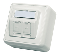 TGT Modul-Aufnahme AP 80x80 2-fach 30° Auslass, alpinweiss, unbestückt TGT Modul-Aufnahme AP 80x80 2-fach 30° Auslass, alpinweiss, unbestückt